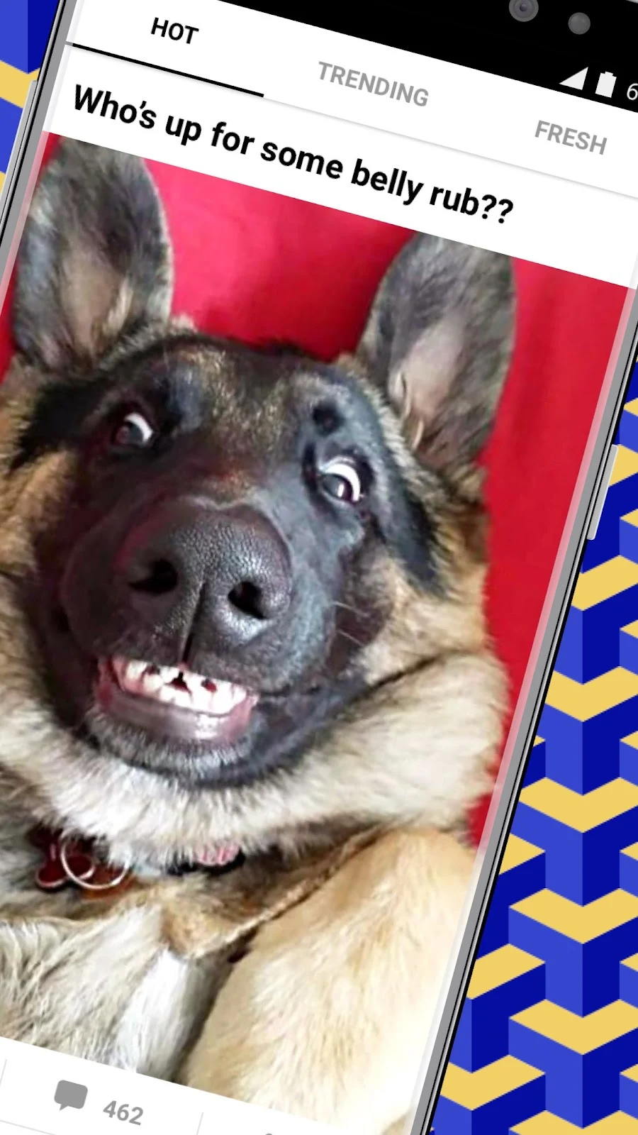 9GAG: Funny GIF, Meme & Video - скриншот 1