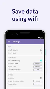 BitTorrent Pro - скриншот 2
