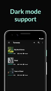 BitTorrent Pro - скриншот 3