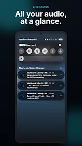 Bluetooth Codec Changer - скриншот 2