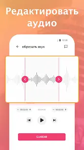 Диктофон - аудио приложение - скриншот 1