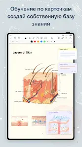 Kilonotes:Заметки и чтение PDF - скриншот 10