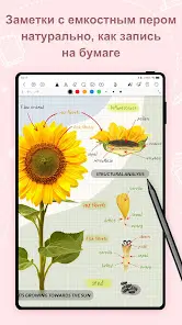 Kilonotes:Заметки и чтение PDF - скриншот 4