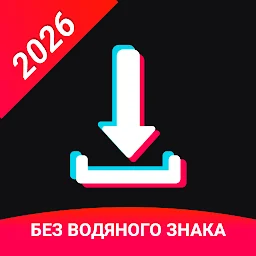 Скачать видео с тт