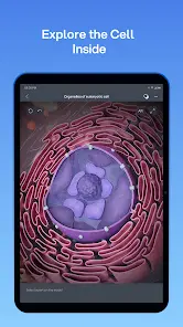VOKA 3D Анатомия человека - скриншот 11