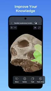 VOKA 3D Анатомия человека - скриншот 2