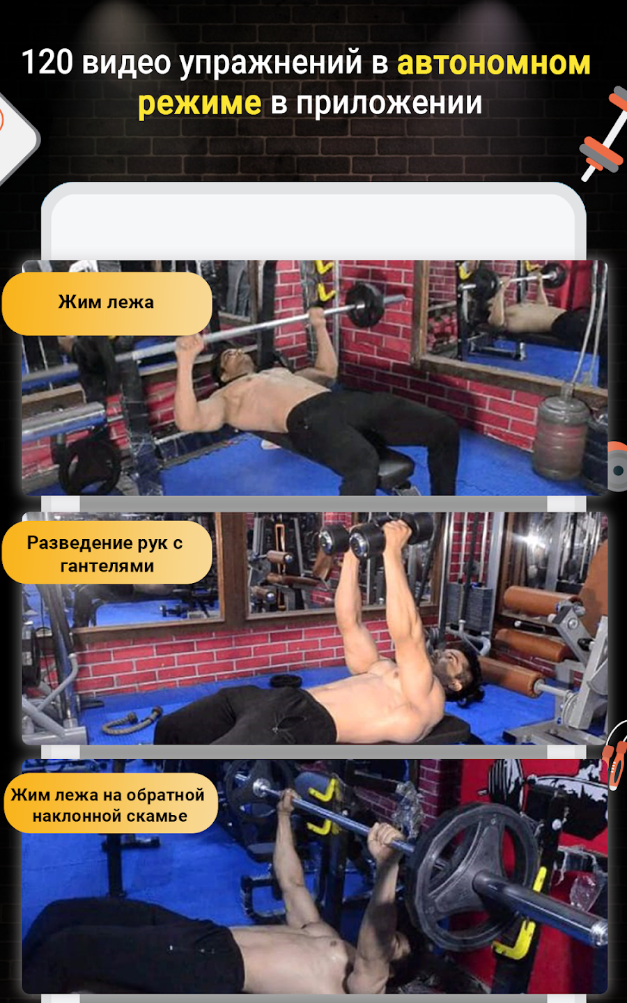 Pro Gym Workout -Gym & Fitness - скриншот 11