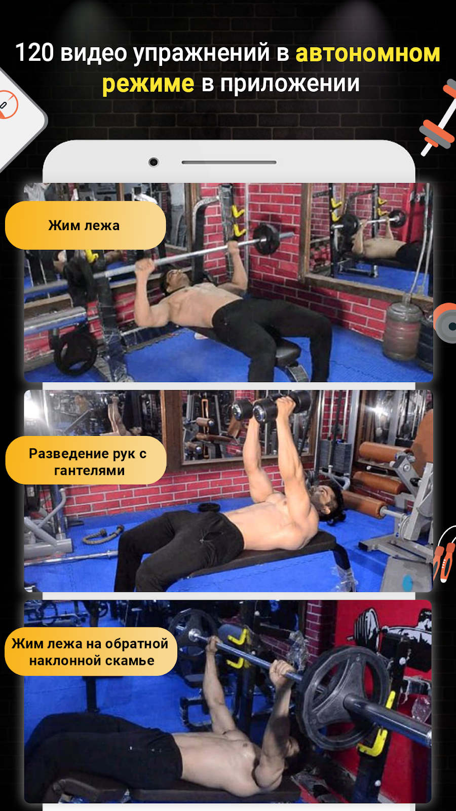 Pro Gym Workout -Gym & Fitness - скриншот 3