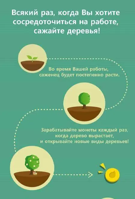 Forest: Stay focused - скриншот 3
