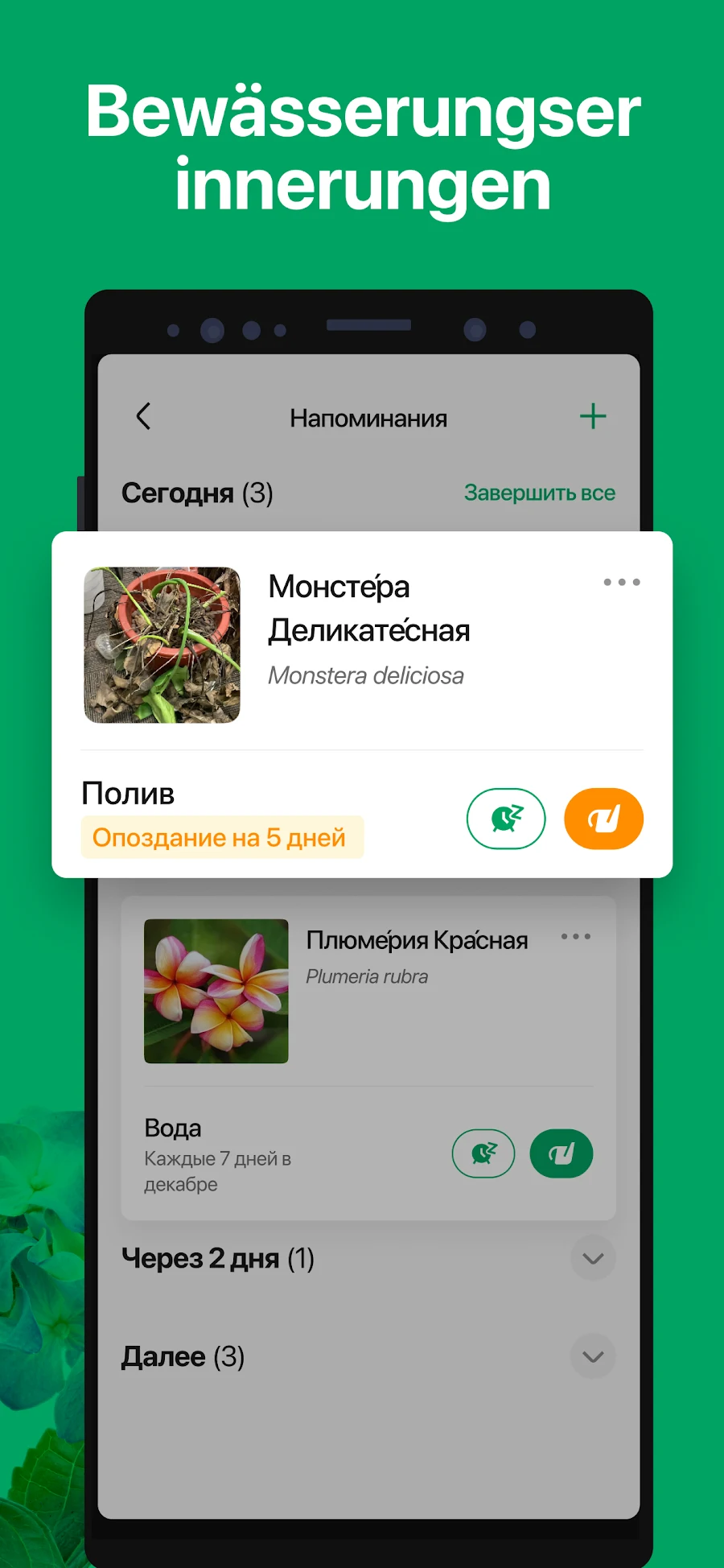 PictureThis растения признать - скриншот 4