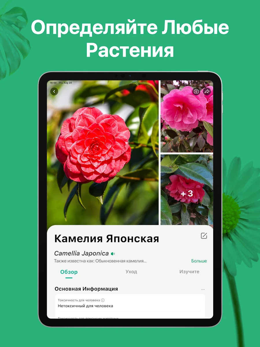 PictureThis растения признать - скриншот 9