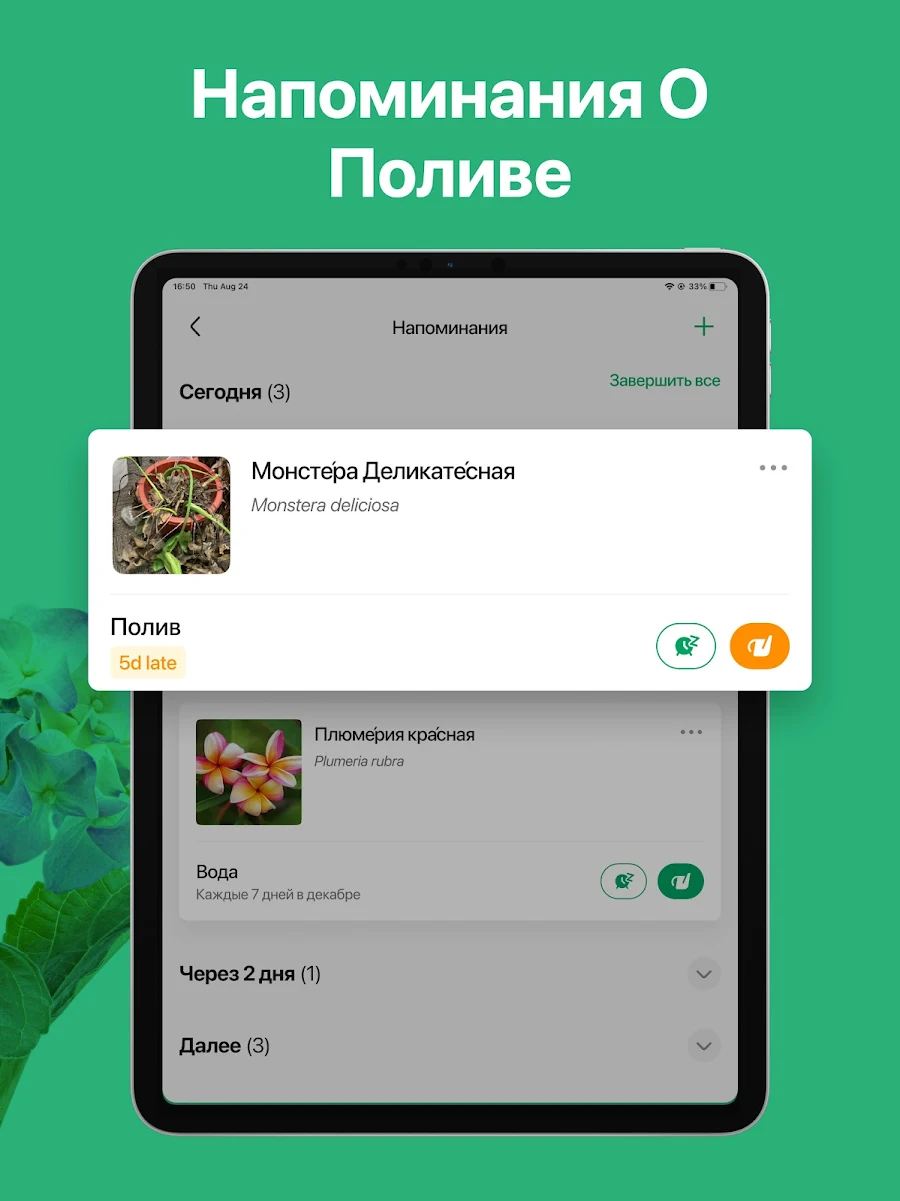 PictureThis растения признать - скриншот 12