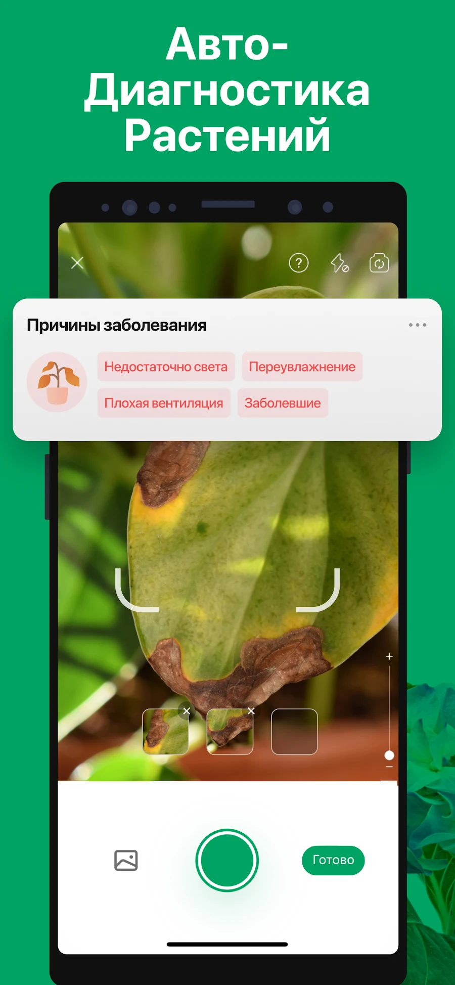 PictureThis растения признать - скриншот 3