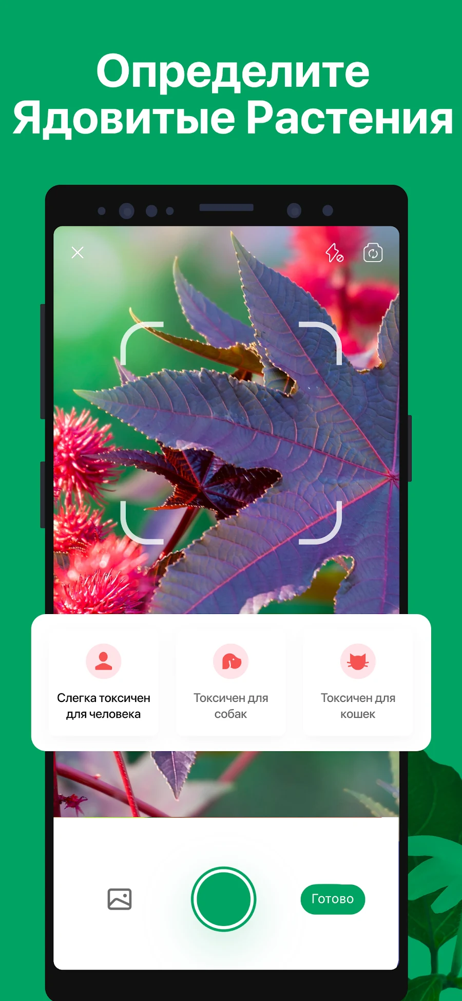 PictureThis растения признать - скриншот 5