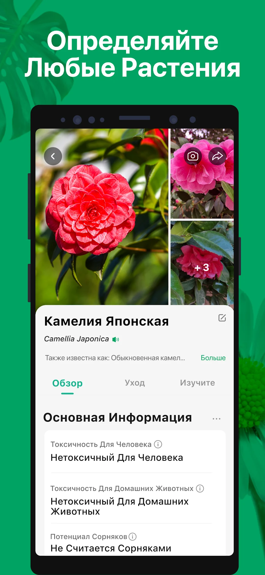 PictureThis растения признать - скриншот 1