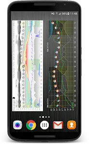 Meteogram Pro Weather Widget - скриншот 2