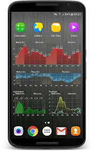Meteogram Pro Weather Widget - скриншот 3
