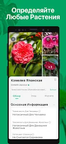 PictureThis - скриншот 1