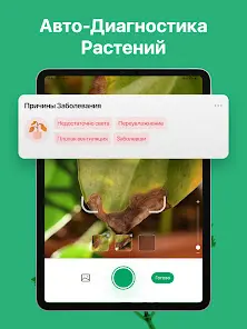 PictureThis - скриншот 11