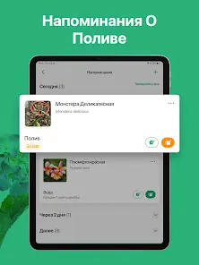 PictureThis - скриншот 12