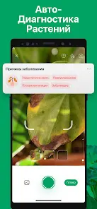 PictureThis - скриншот 3