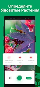 PictureThis - скриншот 5