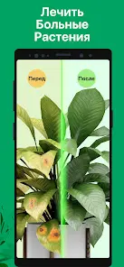 PictureThis - скриншот 6
