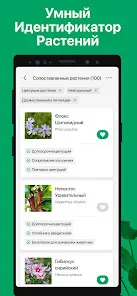 PictureThis - скриншот 7