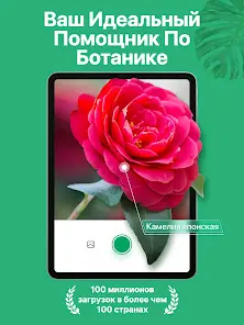 PictureThis - скриншот 8