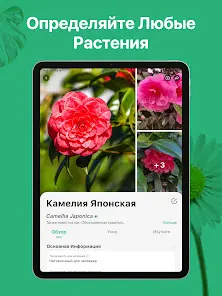 PictureThis - скриншот 9