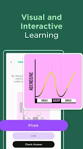 Imprint: Learn Visually - скриншот 1
