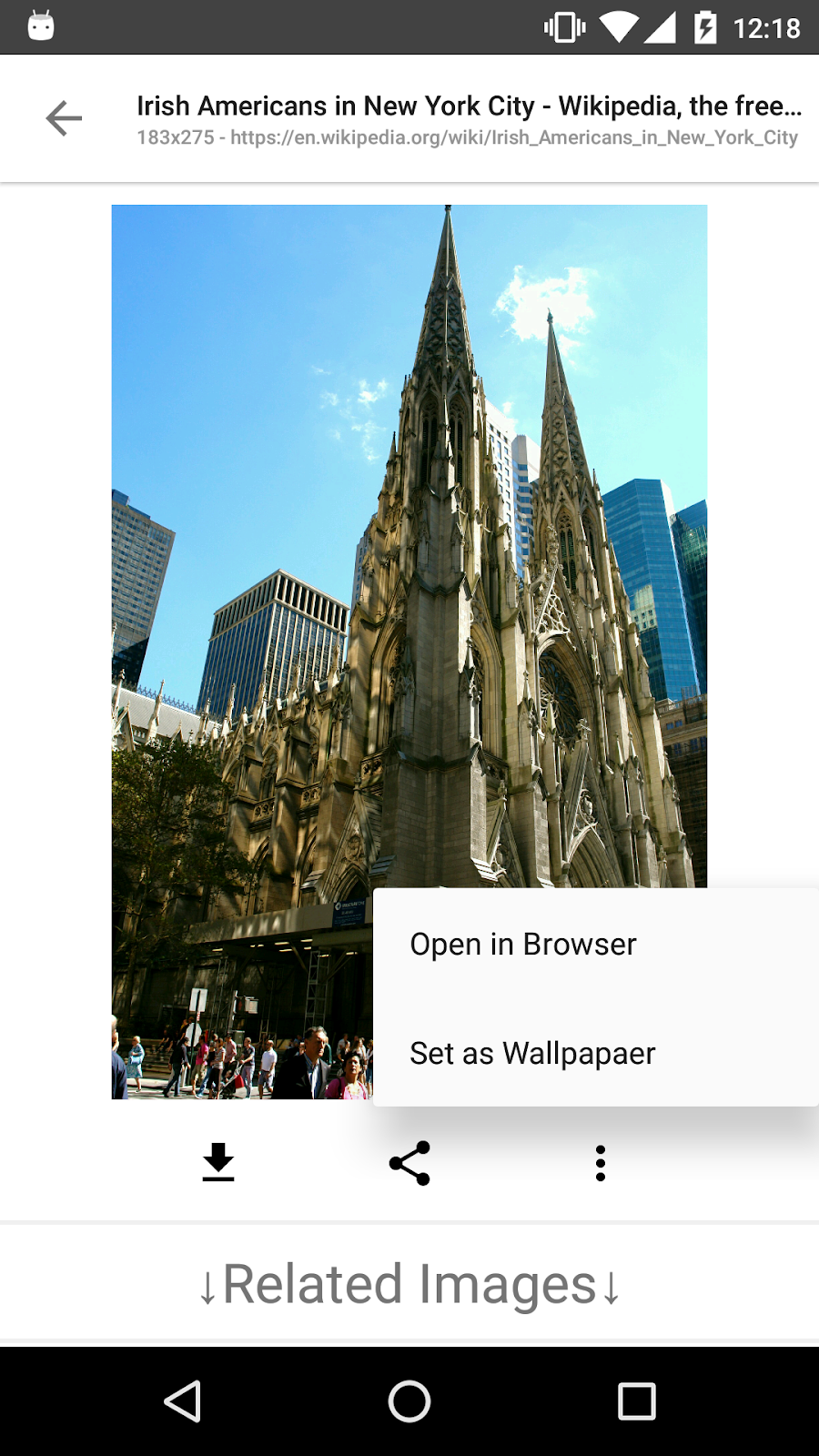 ImageSearchMan - Image Search - скриншот 3