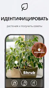 TapScanner - Сканер PDF - скриншот 3